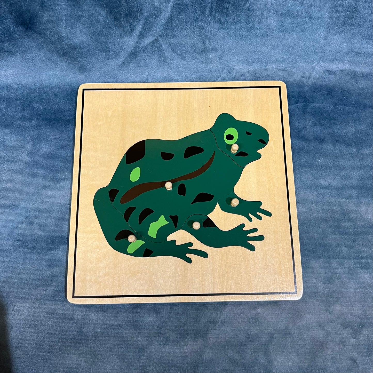 Frog and skeleton puzzle