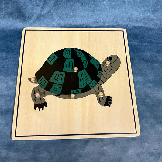 Turtle and skeleton puzzle