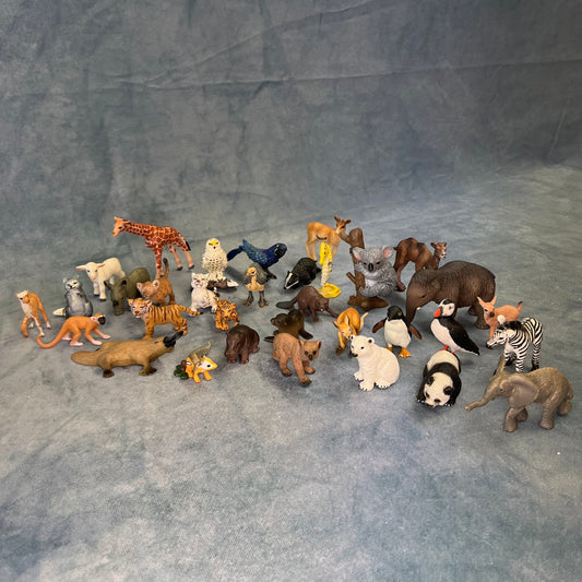 Animal model of seven continents
