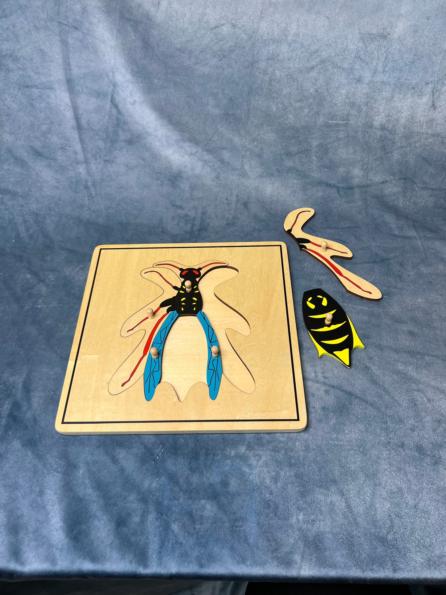 Wasp puzzle